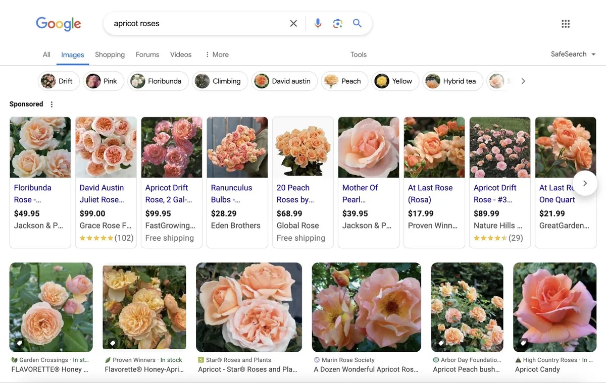 “apricot roses”的 Google 图片结果，显示从各个网站获取的图片。