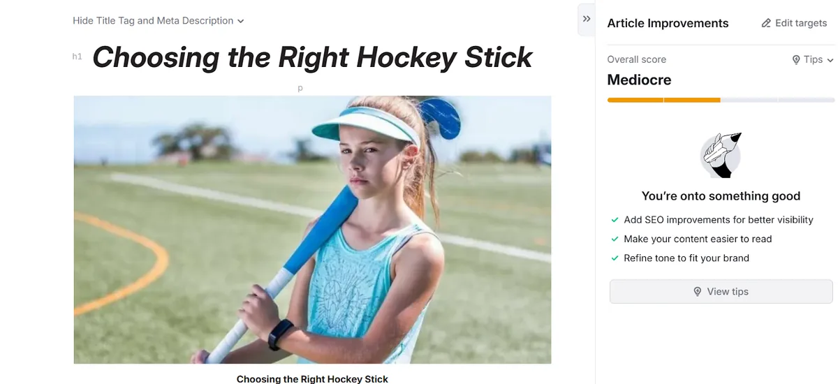内容编辑器,文章标题为 Choosing the Right Hockey Stick,改进评分为“Mediocre”。