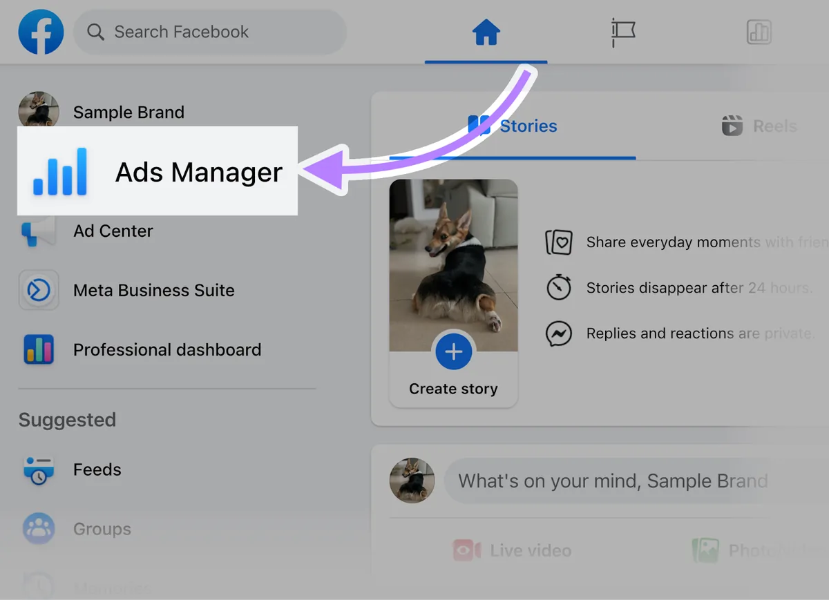 Facebook 分析中高亮显示的“广告管理工具”按钮