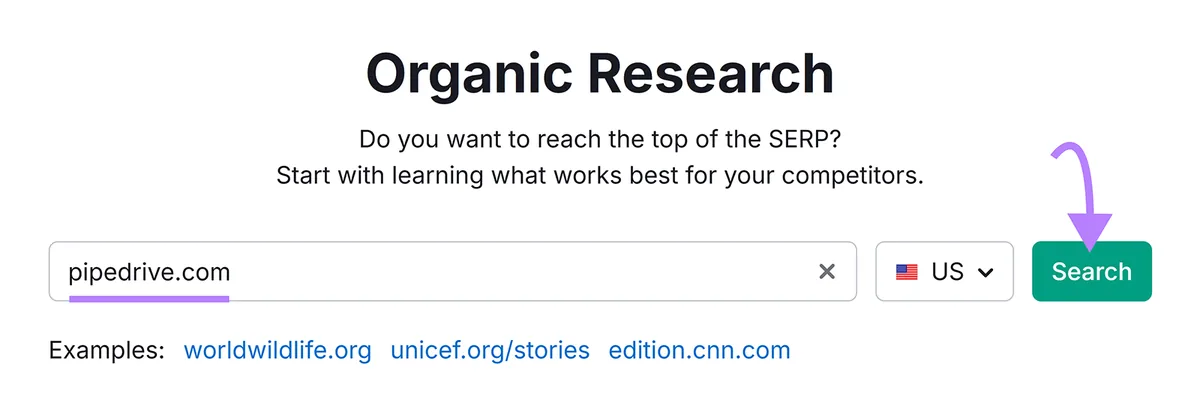 Organic Rankings 搜索栏,已输入域名,箭头指向“Search”。