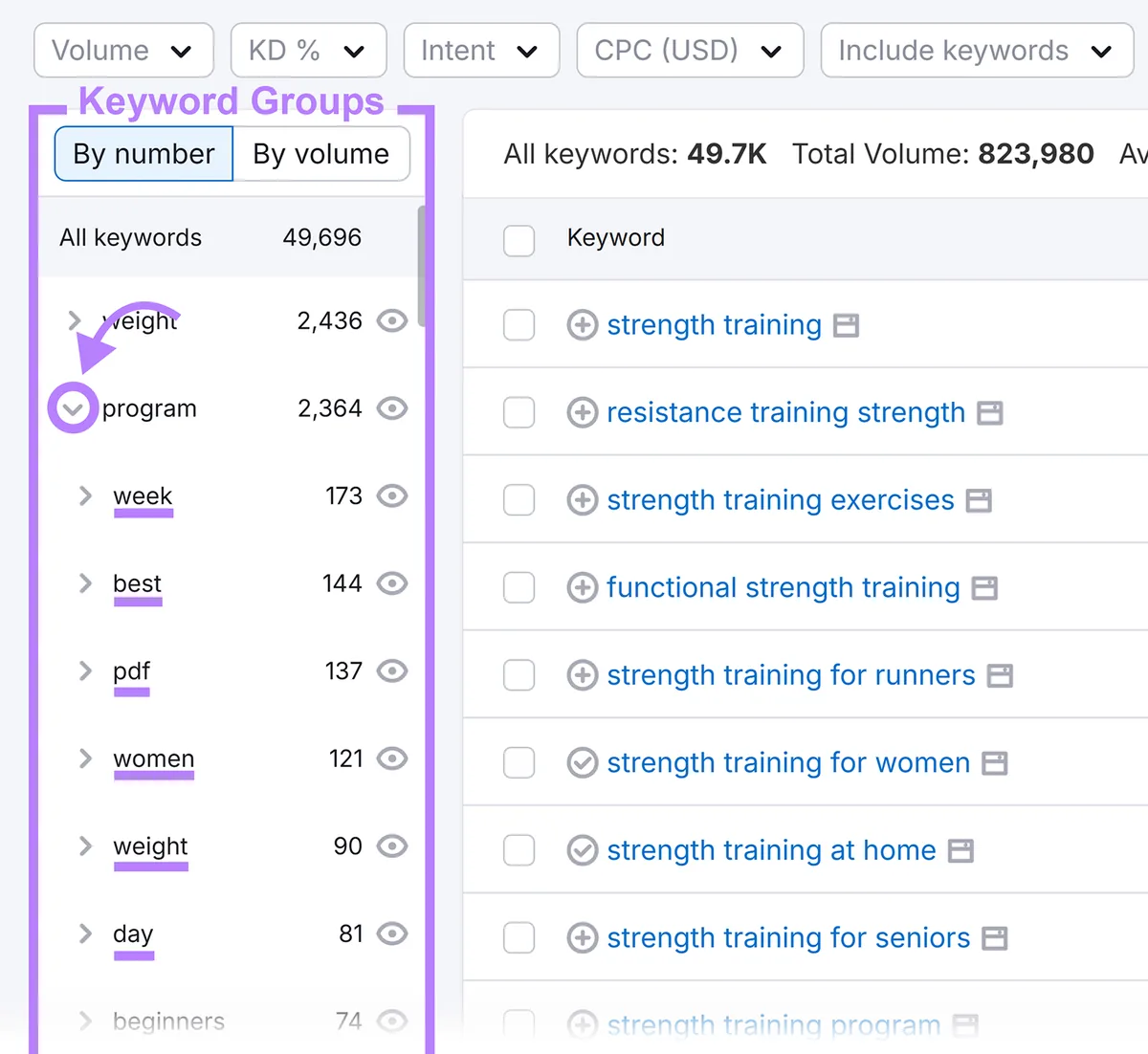 Keyword Magic Tool 展示按主题和修饰词组织的关键词分组和子分组。
