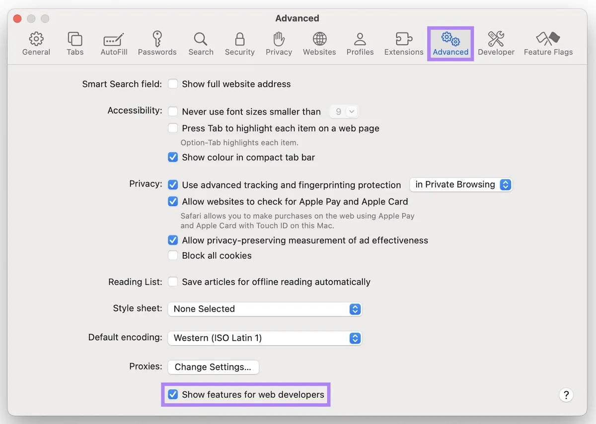 Safari 设置中的“Advanced”标签页，勾选“Show features for web developers”框。