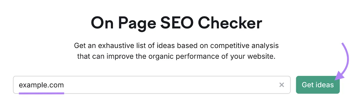 在 On Page SEO Checker 工具中输入的域名