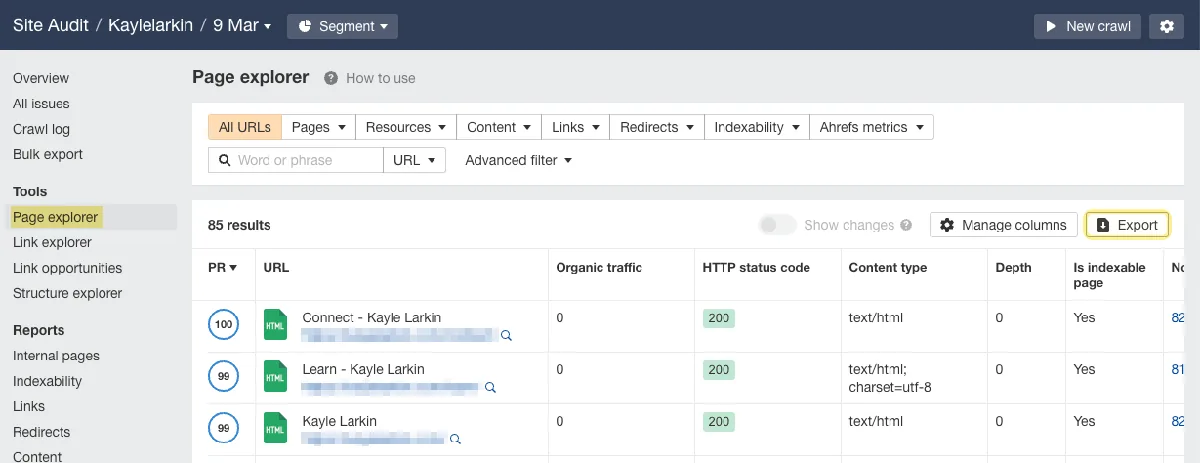 Ahrefs' Site Audit 中的 Page Explorer