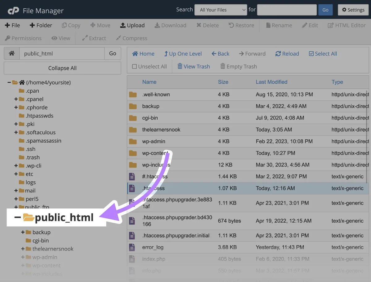 在 cPanel 上从“File Manager”左侧菜单中选中的“public_html”。