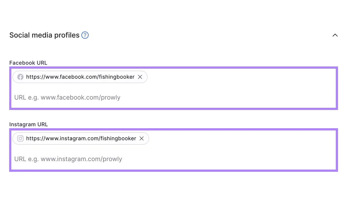 Brand Monitoring 工具设置中指向不同平台社交资料的链接，包括 Facebook、X 和 Instagram。