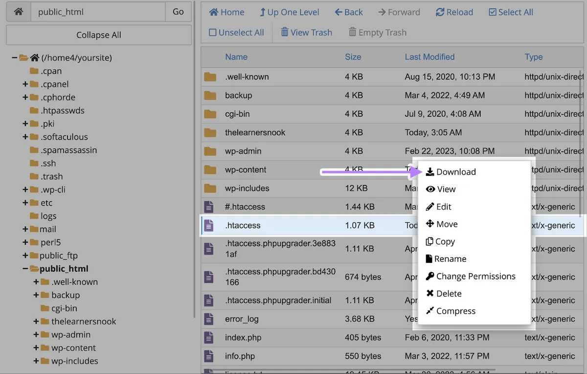 在 cPanel 上右键点击“.htaccess”文件，从出现的选项中选择“Download”。