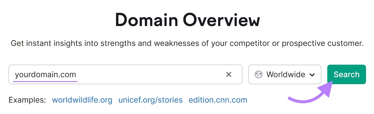 Domain Overview 工具，搜索字段中输入“yourdomain.com”，箭头指向“Search”按钮。