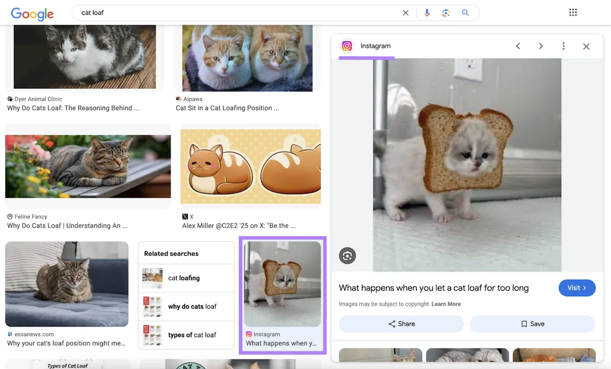 一张头顶面包的猫咪 Instagram 帖子出现在“cat loaf”的 Google 图片结果中。