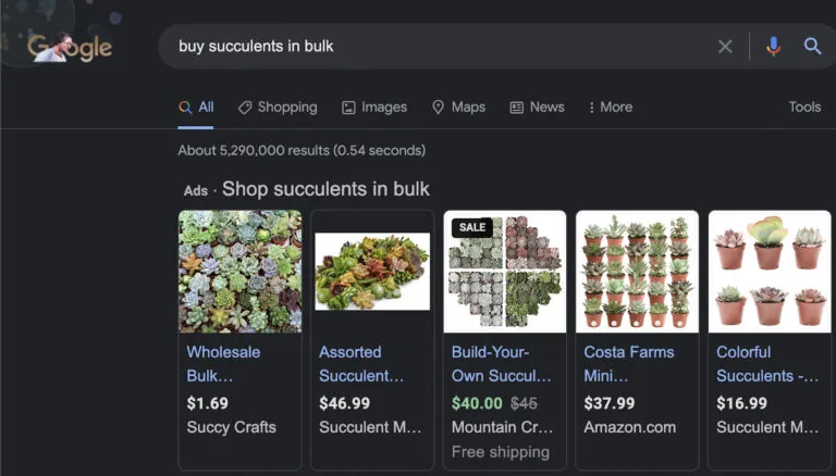 “buy succulents in bulk” 的 Google 搜索结果页面上的广告轮播