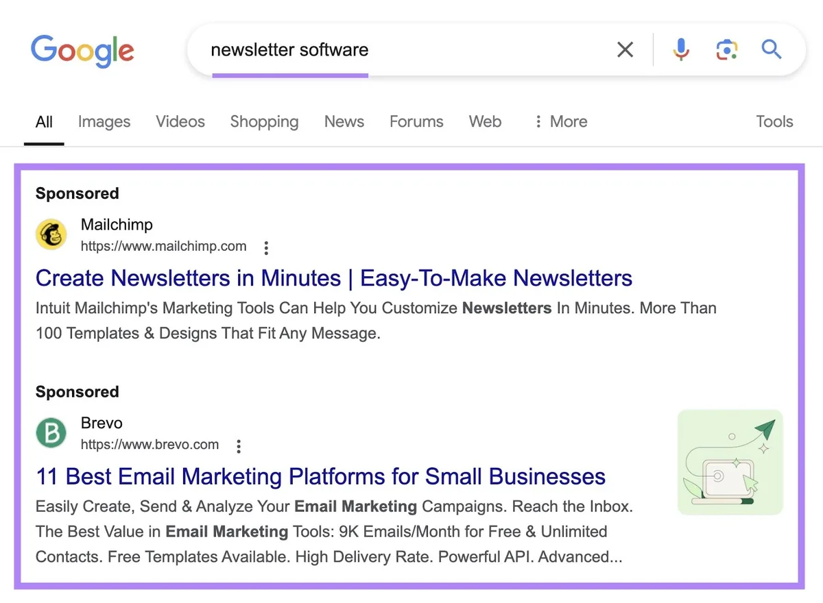 Google 搜索结果页面输入词条“newsletter software”,顶部的两条赞助结果已高亮显示。