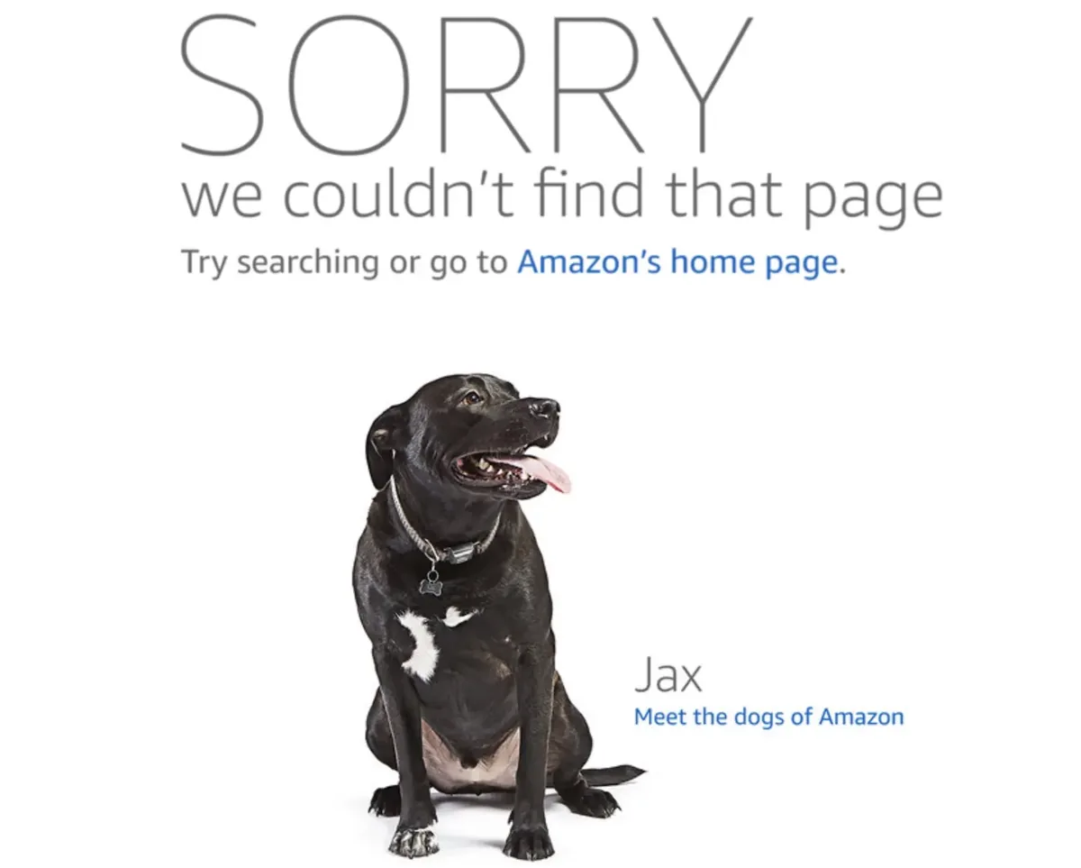 Amazon 的 404 错误页面,显示“Sorry we couldn't find that page. Try searching or go to Amazon's home page.”,并配有一张狗的图片