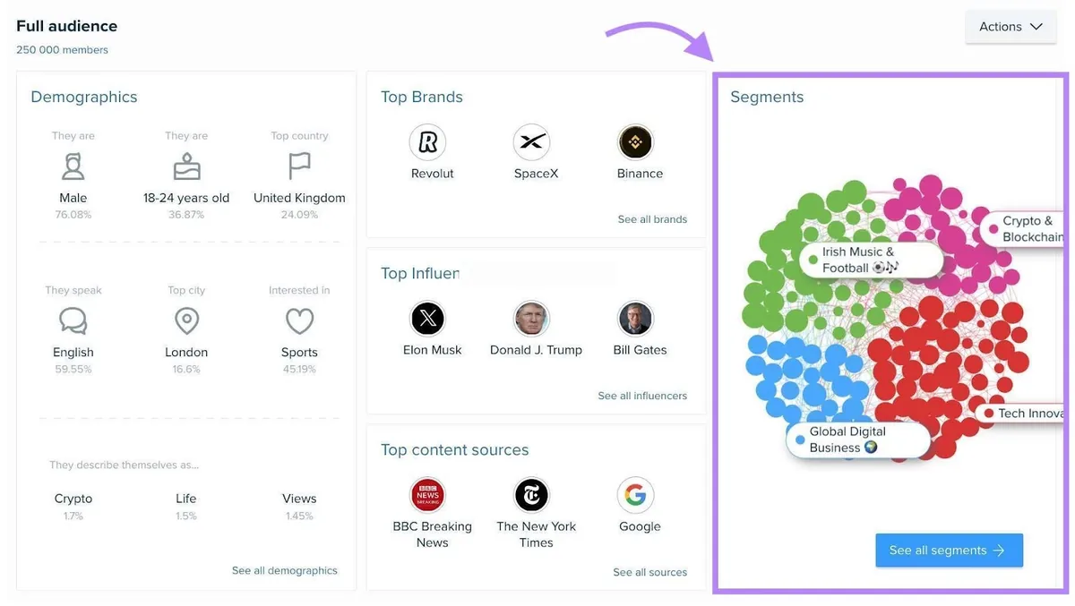 Audience Intelligence 应用中的“Full audience”报告
