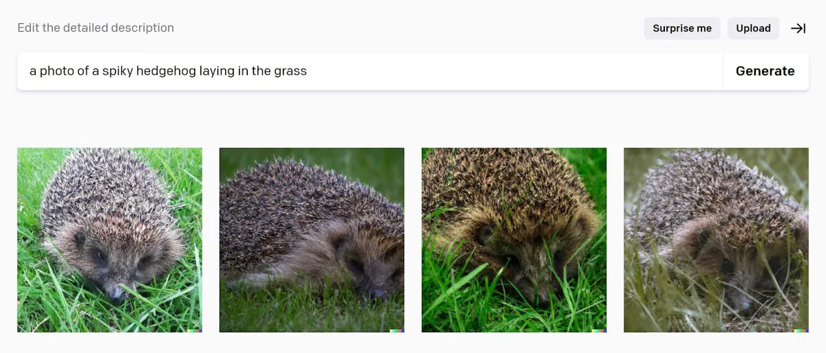 DALL-E 2 根据提示词“a photo of a spiky hedgehog laying in the grass”生成的图像