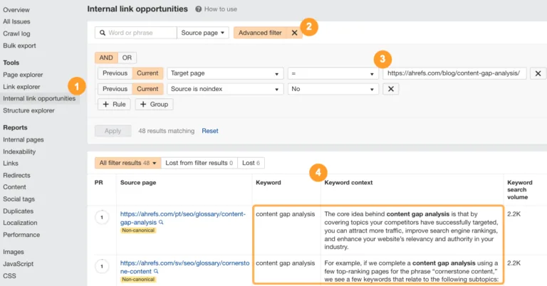 Ahrefs 的 Internal Link Opportunities（内链机会）报告。