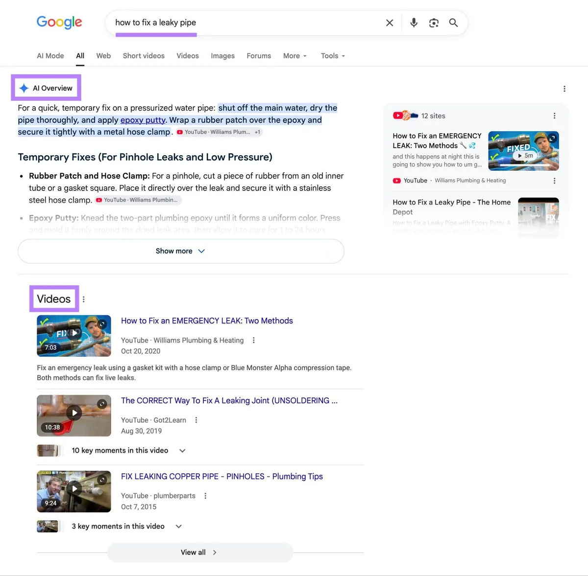 词条“how to fix a leaky pipe”的 Google 搜索结果页面，顶部为 AI 概览，其后为视频结果。
