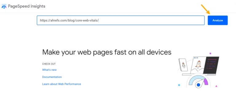 在 PageSpeed Insights 中输入网址