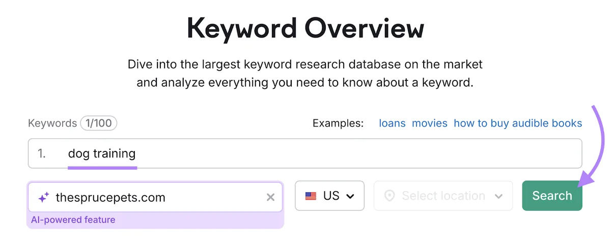 在 Keyword Overview 工具中搜索关键词并输入域名