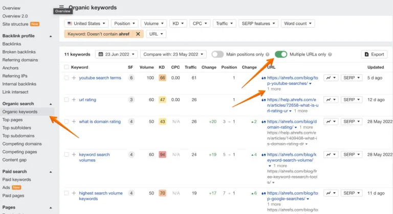 Site Explorer - 仅多个 URL