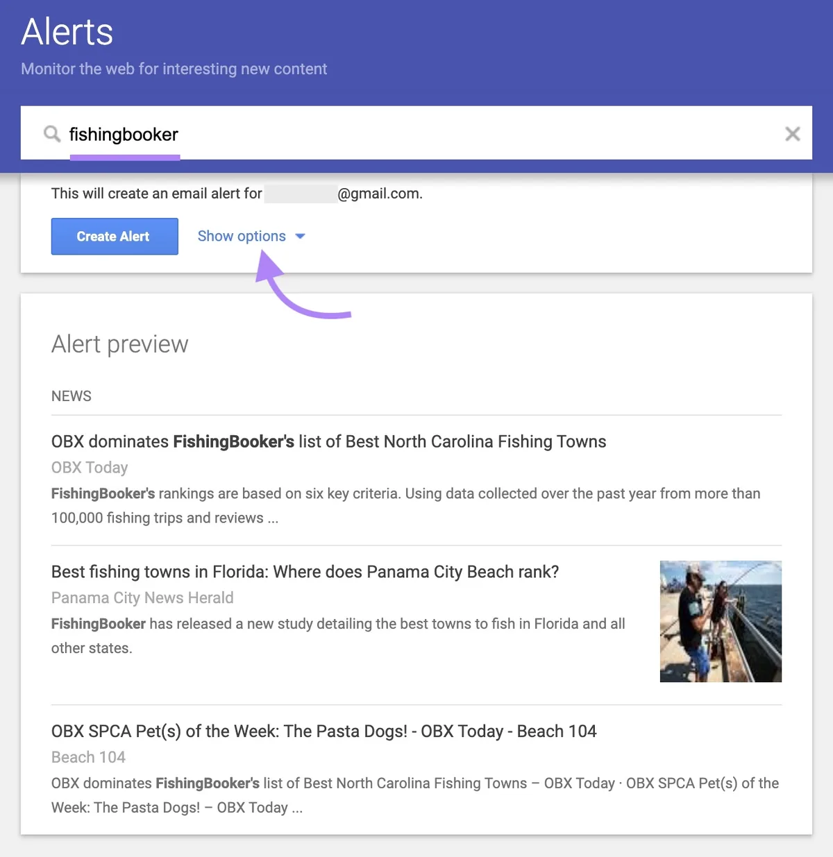 Google Alerts 首页，搜索栏中已输入并高亮显示品牌名称，箭头指向“Show options”。