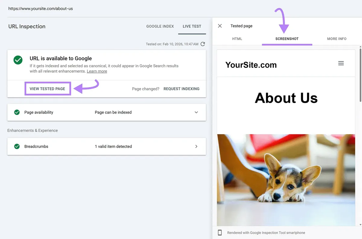 Google Search Console 实时 URL 测试,展示被测的“About Us”页面及其渲染后的移动端截图