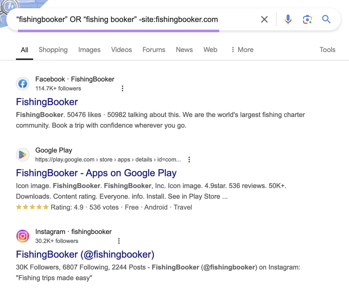 应用 Google 搜索运算符后显示结果的 Google 搜索结果页面。