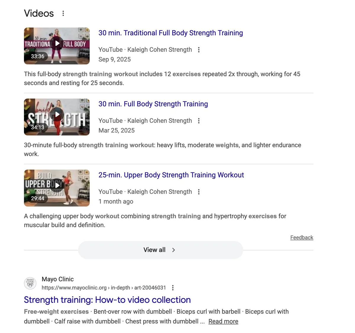 Google 视频轮播在搜索结果中展示 YouTube 力量训练健身视频。