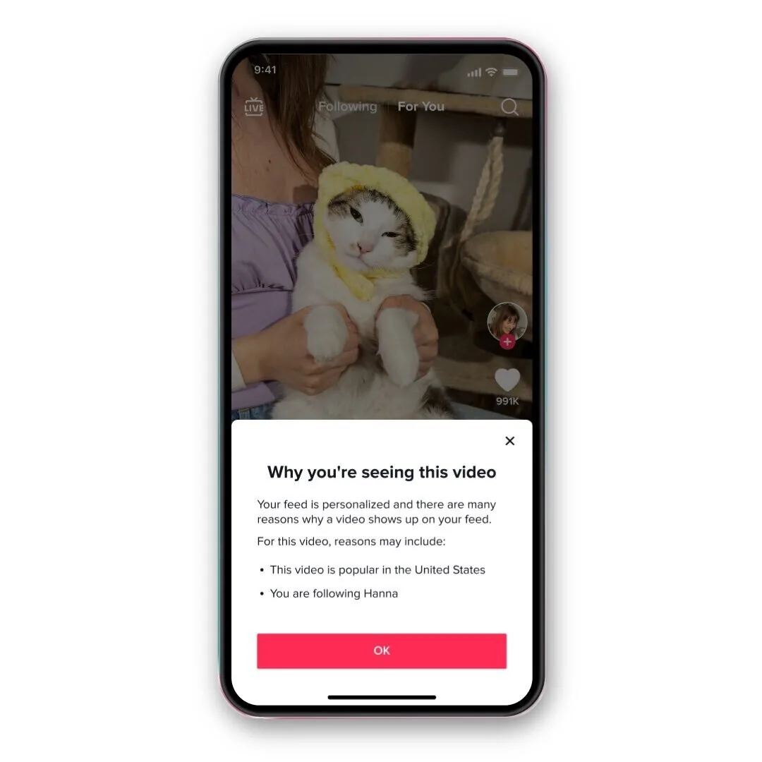 TikTok 上的“你为何会看到此视频”弹出窗口