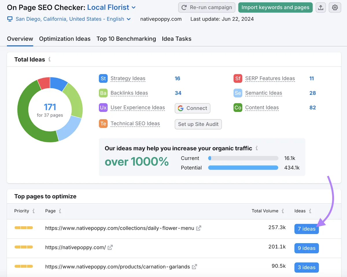 On Page SEO Checker 概览显示本地 SEO 的创意总数和待优化热门页面
