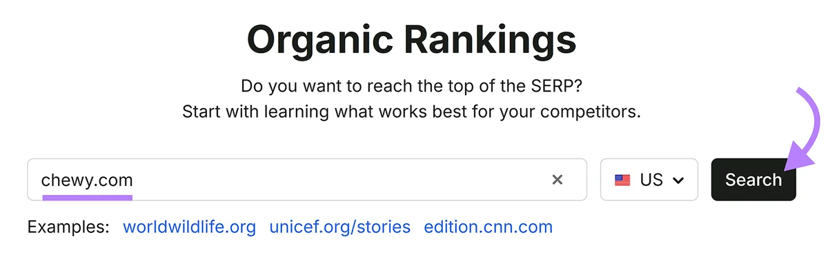 Semrush Organic Rankings 搜索字段已输入 chewy.com，突出显示 Search 按钮