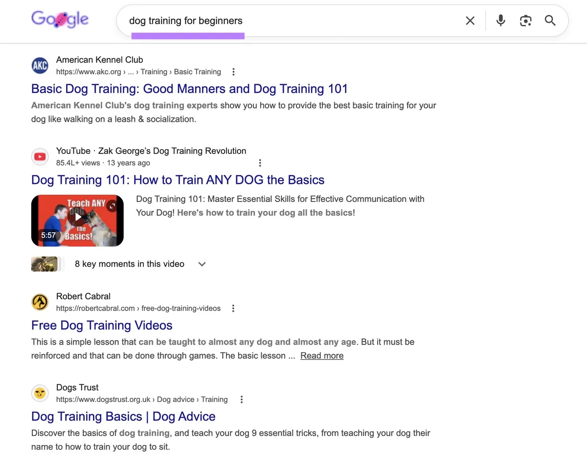 词条“dog training for beginners”的 Google 搜索结果页面，展示作为顶部结果的操作指南。