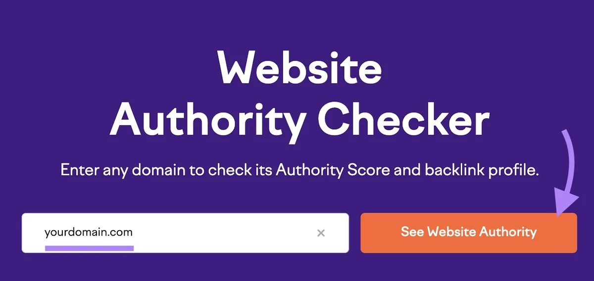 Website Authority Checker 工具起始界面,已输入域名并点击“See Website Authority”按钮。