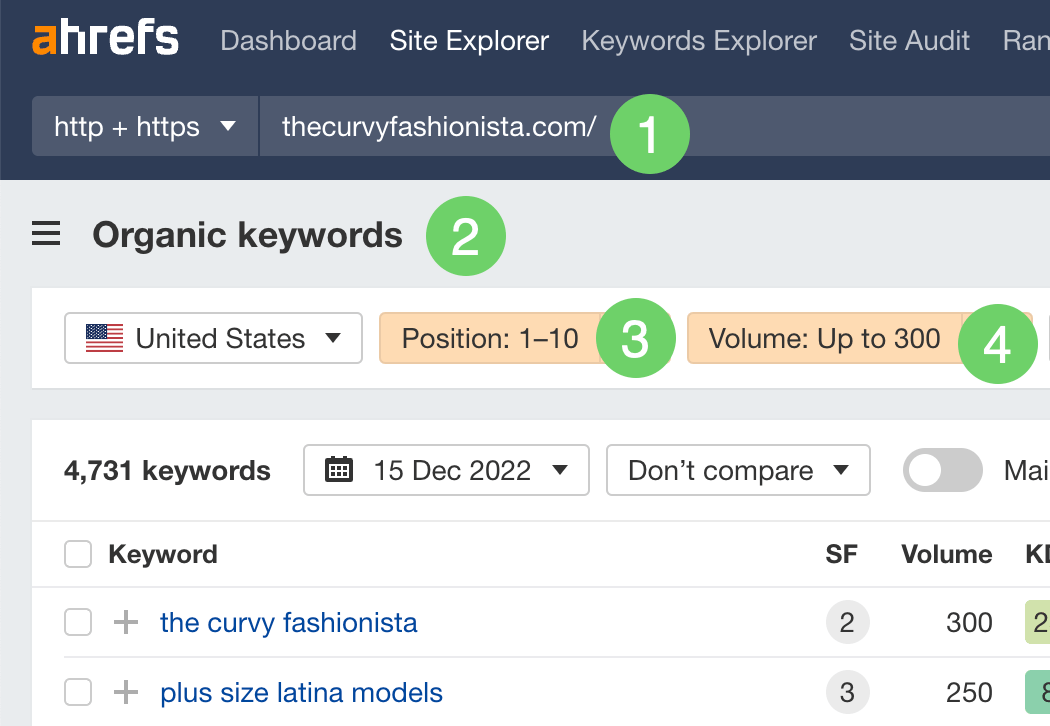在 Ahrefs 的 Site Explorer 中筛选 thecurvyfashionist.com 有排名的长尾关键词