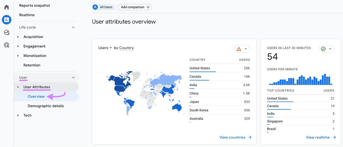 Google Analytics 中的“用户属性概览”版块