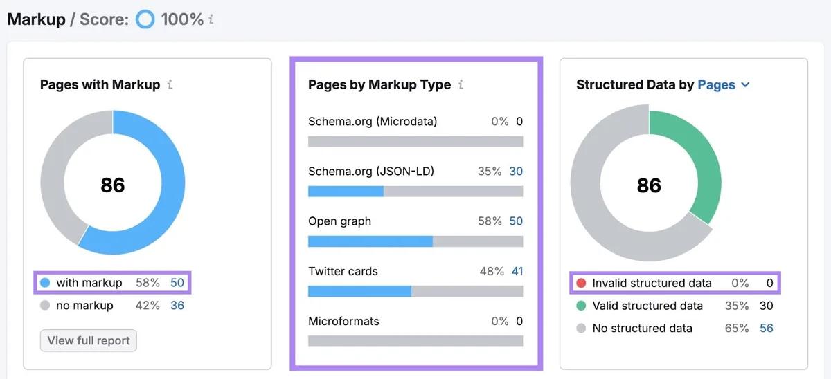 Site Audit 的标记报告