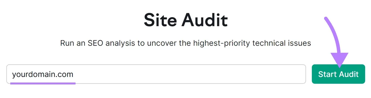 Site Audit 搜索栏